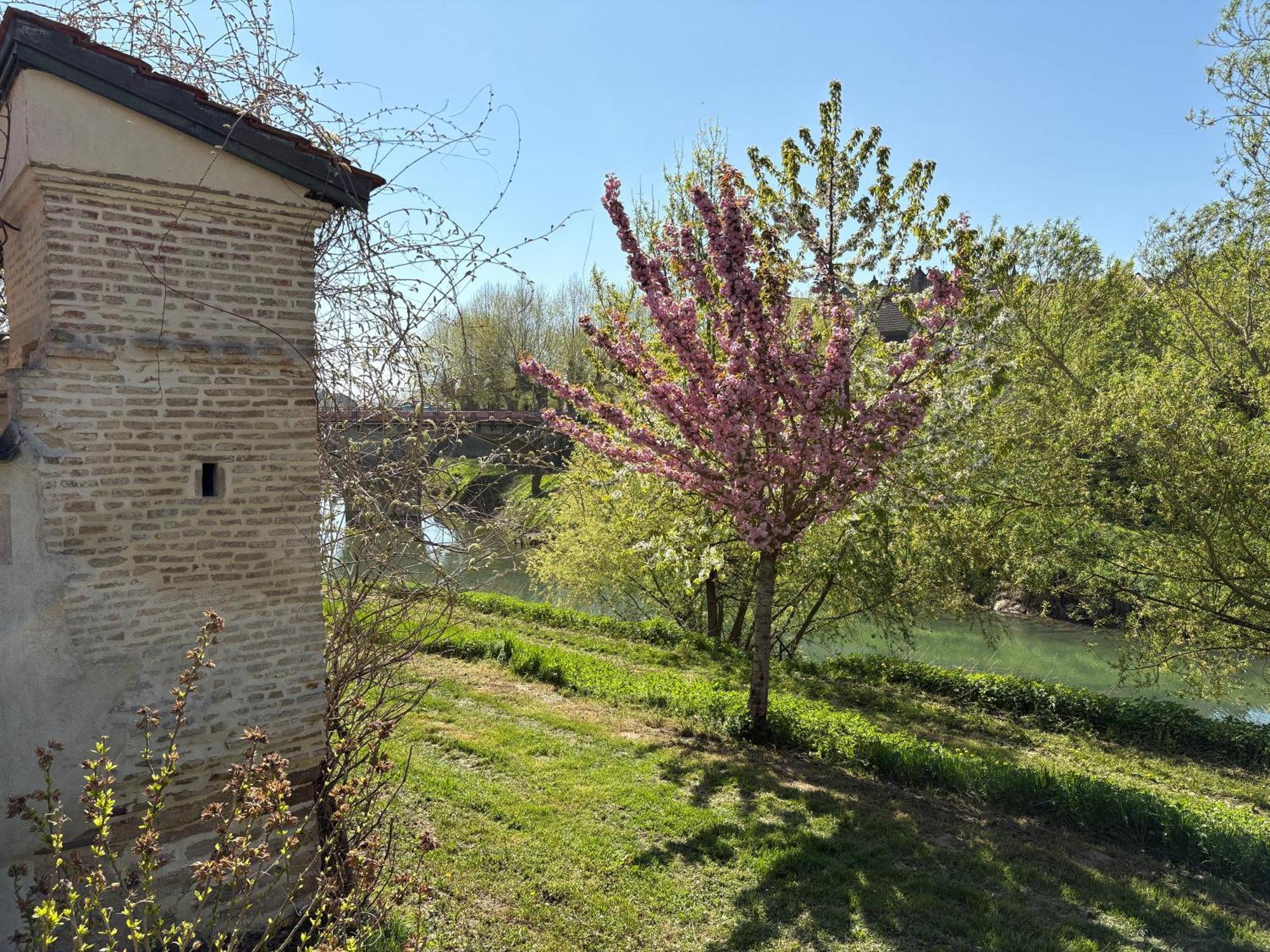 Doubs Sejour - Chambres Avec Petits Dejeuners En Suppl Verdun-sur-le-Doubs Luaran gambar